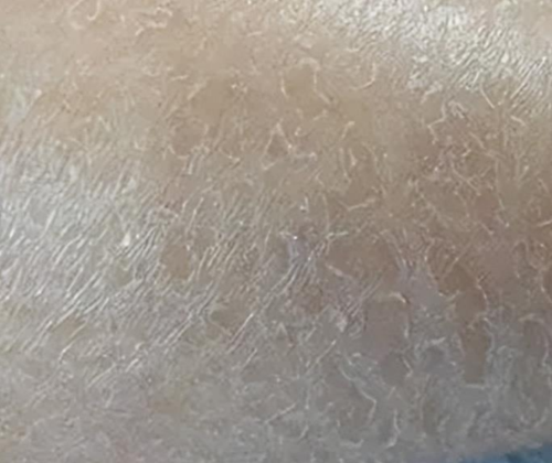 QQ浏览器截图20240218164710.png